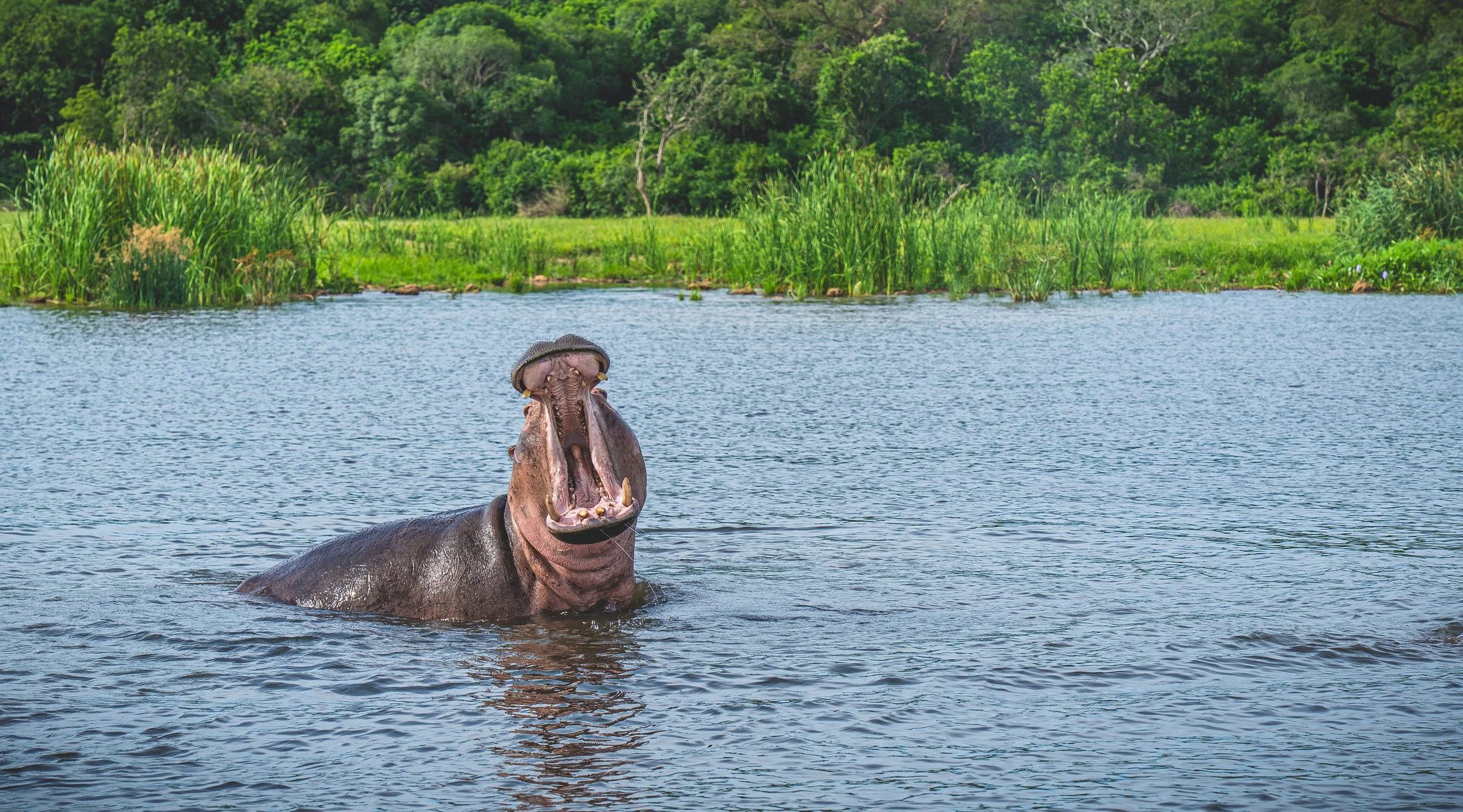 SSE_SSPP_UGANDA_2025_Lars_Broslet_small-1120.jpg