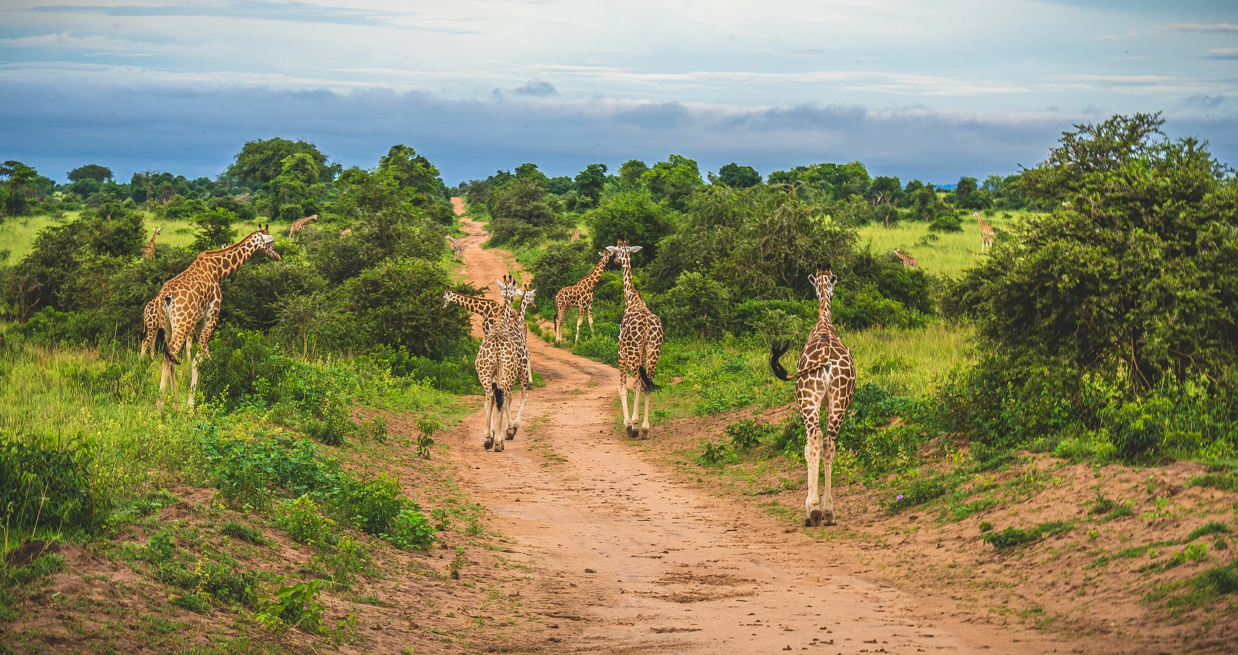 SSE_SSPP_UGANDA_2025_Lars_Broslet_small-1174.jpg