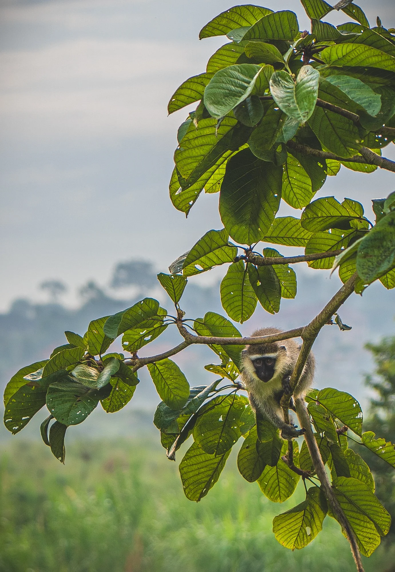 SSE_SSPP_UGANDA_2025_Lars_Broslet_small-594.jpg