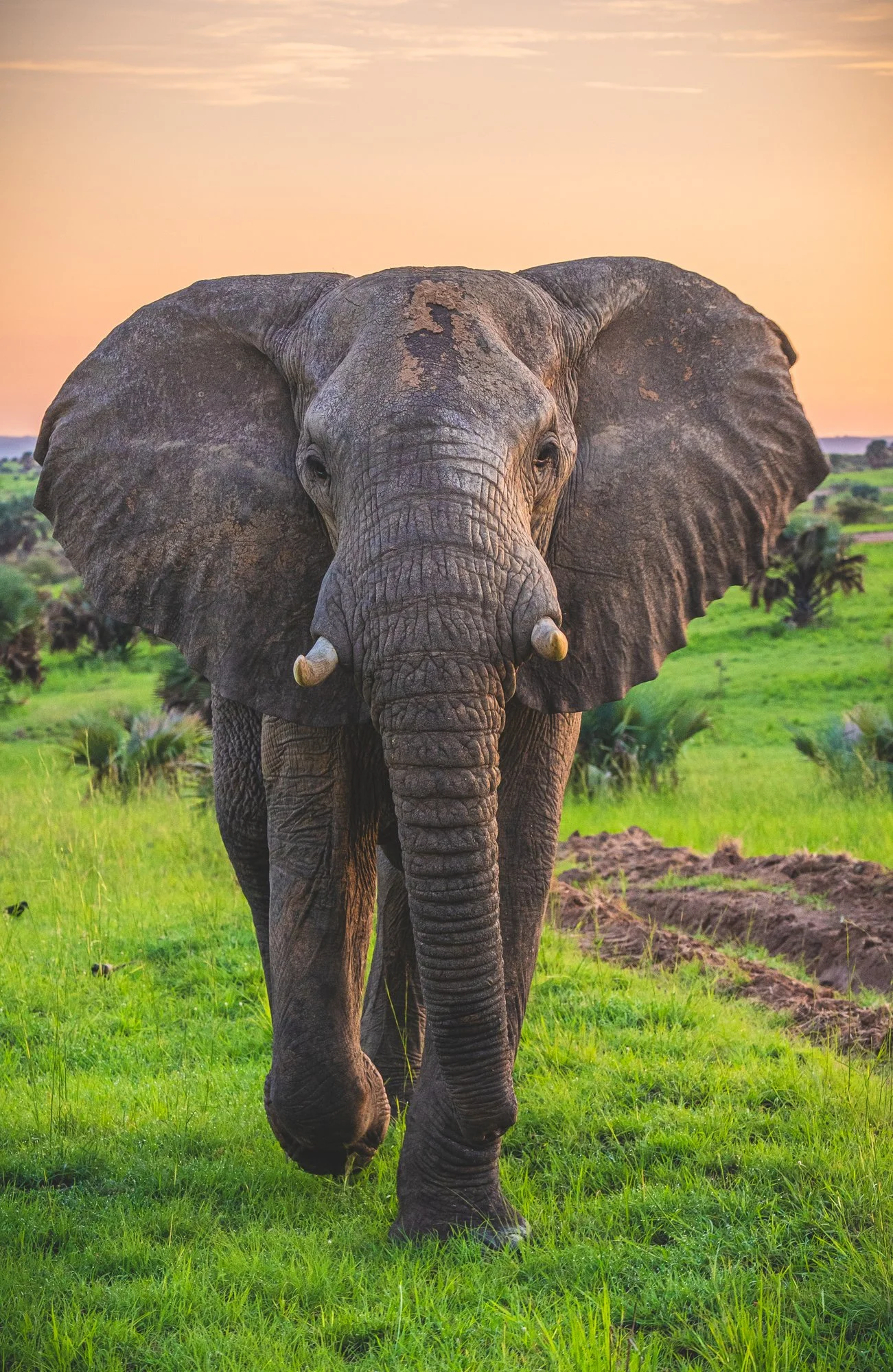 SSE_SSPP_UGANDA_2025_Lars_Broslet_small-955.jpg